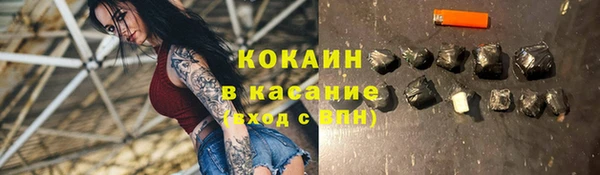 прущие грибы Переславль-Залесский