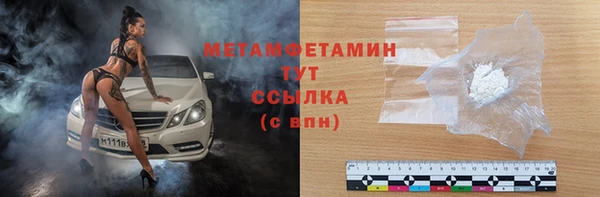 прущие грибы Переславль-Залесский