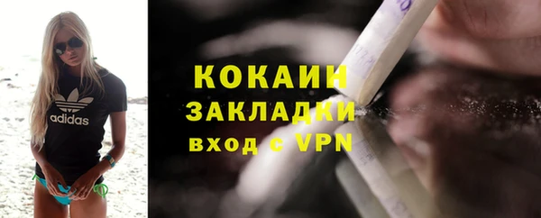 прущие грибы Переславль-Залесский
