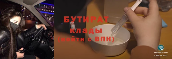 прущие грибы Переславль-Залесский