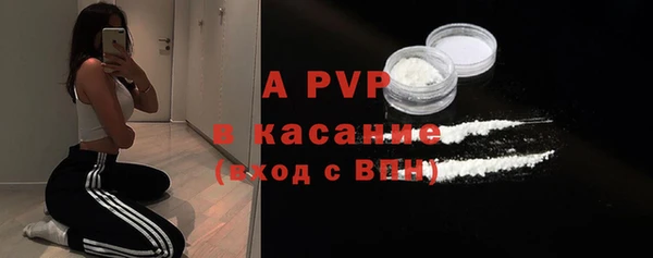 прущие грибы Переславль-Залесский