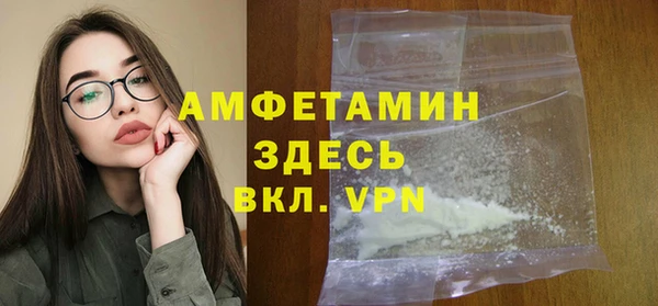 прущие грибы Переславль-Залесский
