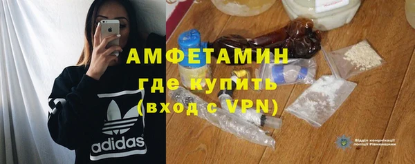прущие грибы Переславль-Залесский