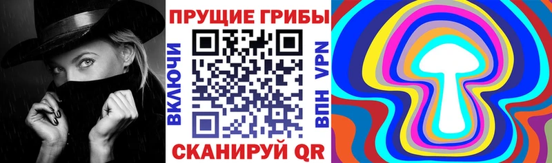 Псилоцибиновые грибы Psilocybine cubensis  как найти закладки  Белгород 