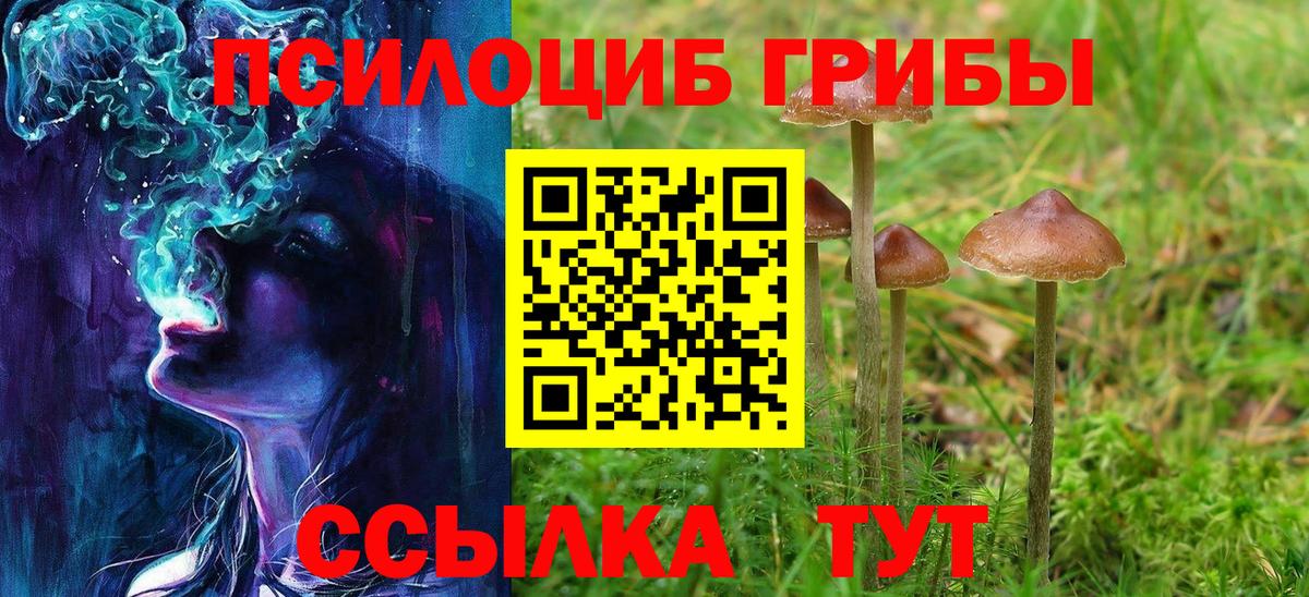 Псилоцибиновые грибы мицелий  Вход с VPN  Белгород 